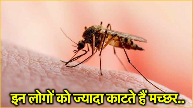 इन लोगों को क्यों काटते हैं इतने मच्छर?