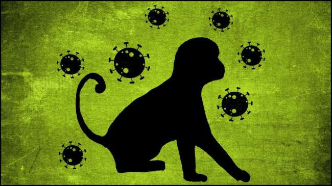 Mpox or Monkeypox virus illustration Mpox or Monkeypox virus illustration
