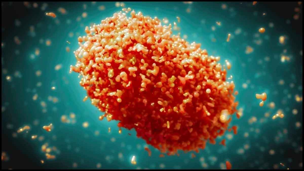 जानलेवा Mpox का मिला नया 'स्ट्रेन', बुखार जैसे हैं लक्षण, अमेरिका में अलर्ट जारी