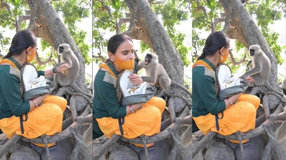 Rakhi With Monkey