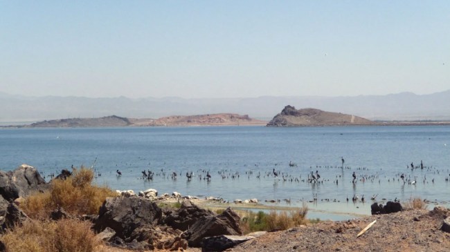 Salton Sea Lake in California