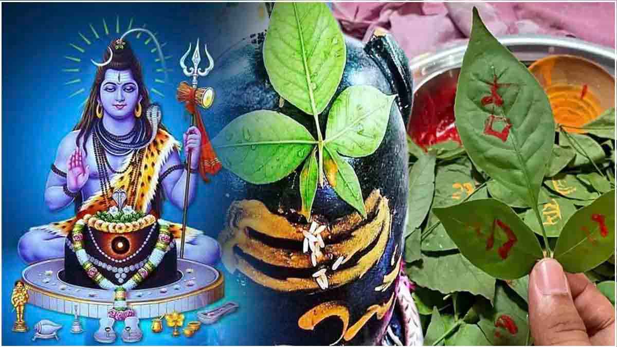 Sawan 2024: शिवरात्रि पर शिवजी को चढ़ाएं तीन पत्तियों वाला बेलपत्र, जानें महत्व और चढ़ाने के नियम