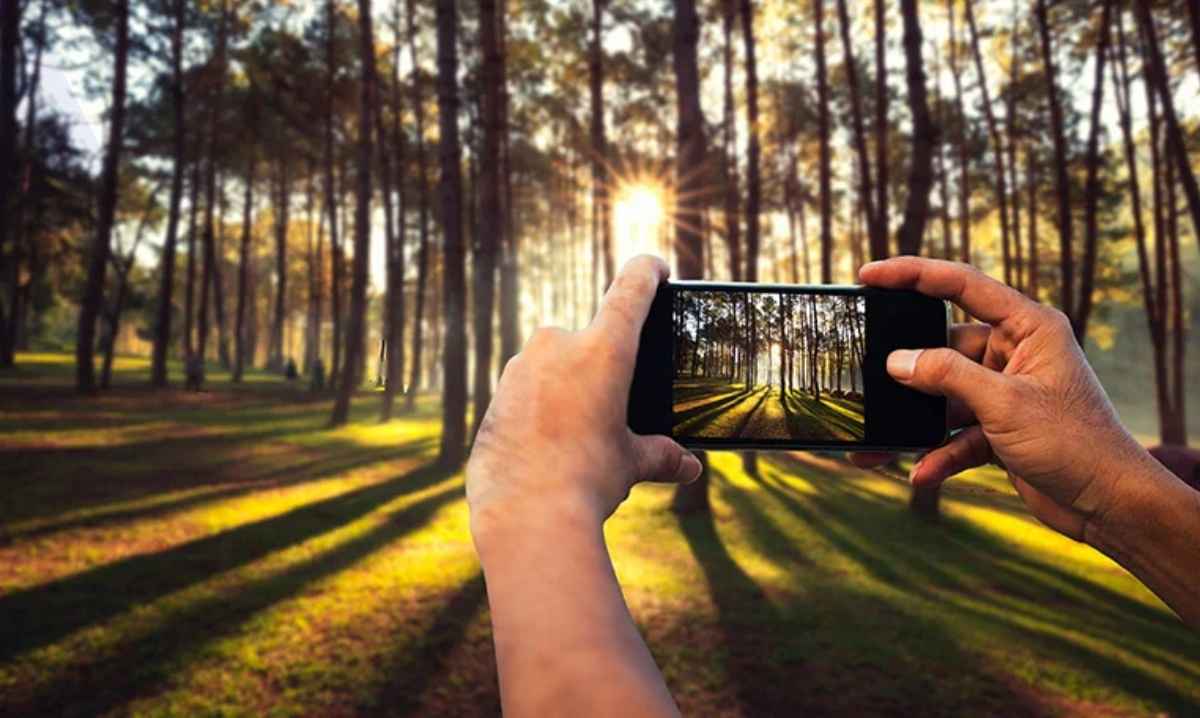 सस्ते फोन का कैमरा भी लेगा iPhone जैसी तस्वीरें! बस जान लें ये खास हिडन सेटिंग