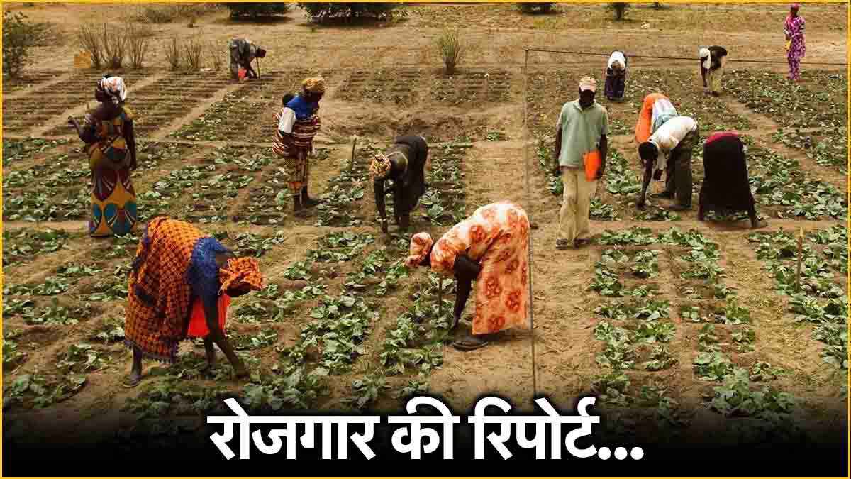 Employement Report के ताजा आंकड़ों से चौंकाने वाला खुलासा, 70-85 फीसदी युवा नौकरी में खुश नहीं