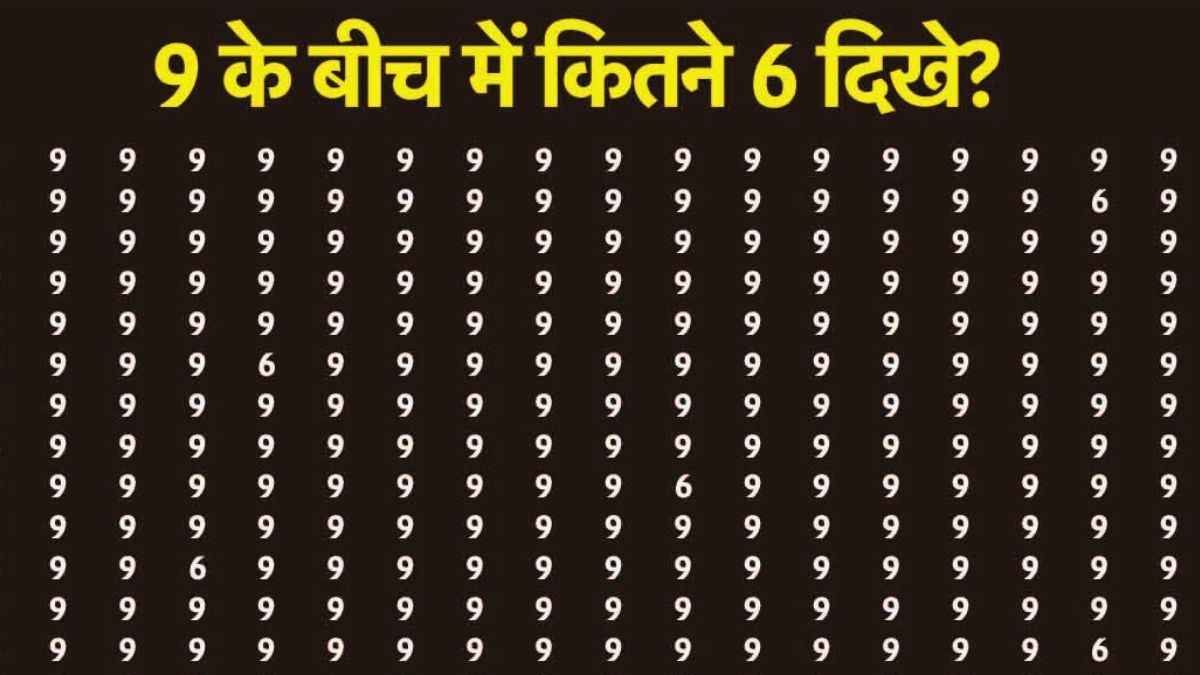 9 के बीच में छिपे हैं कितने 6? 10 सेकंड में सिर्फ जीनियस ही दे सकते हैं जवाब
