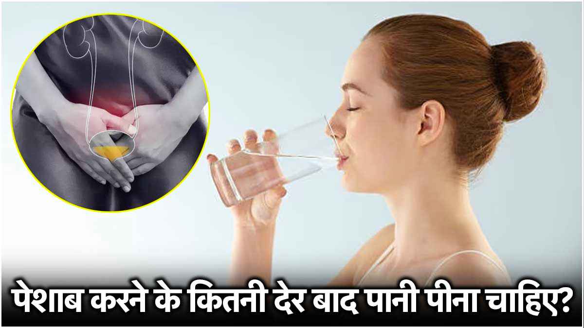 क्या आप भी पेशाब करने के तुरंत बाद पी लेते हैं पानी? सही या गलत?