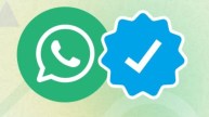 WhatsApp Blue Tick