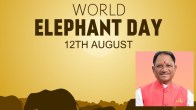 World Elephant Day