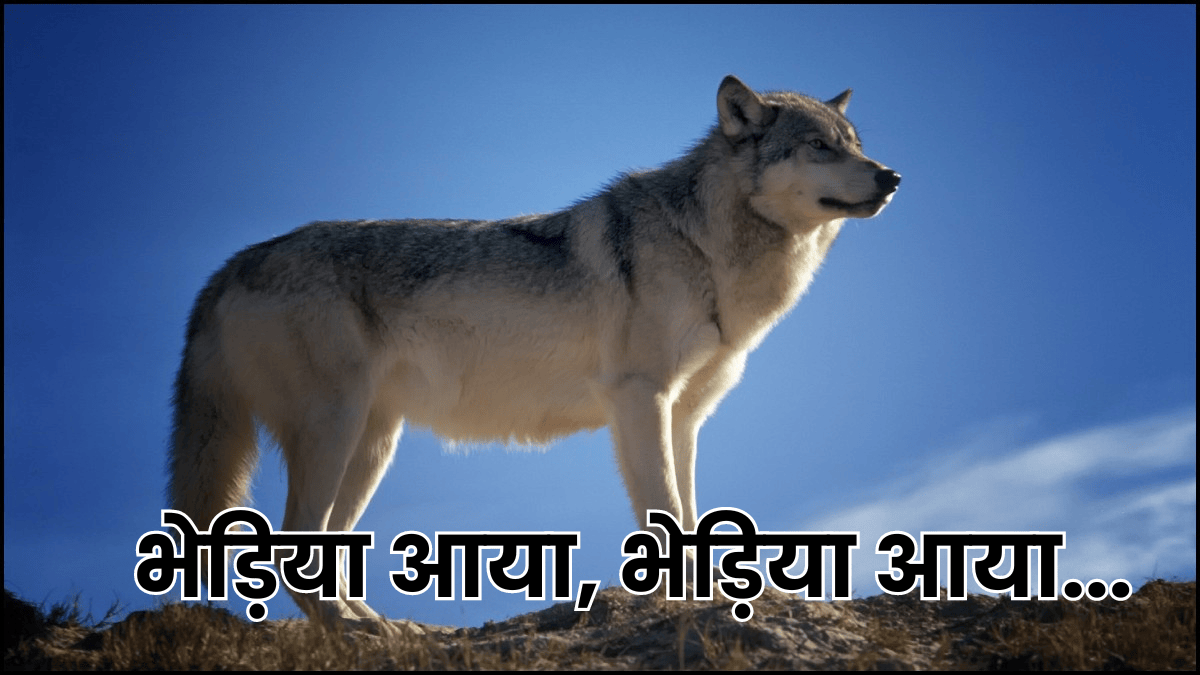 वो भेड़‍िया है... बदला लेने जरूर आएगा! 'दुश्‍मन' को न भूलता है न करता है माफ