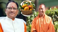 cm yogi gifted mangoes to cm sai