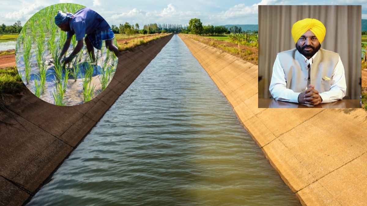 खरीफ सीजन के लिए नहरों में पानी छोड़ने का ऐलान, पंजाब सरकार ने जारी किया शेड्यूल