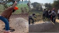 Shri Guru Gobind Singh, Noordin, grave hitting with shoes and slippers, punjab, muktsar