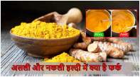  Turmeric Real or Fake how to identify pure turmeric powder