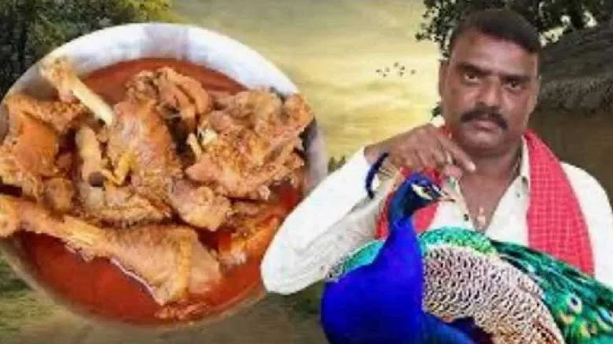 Youtuber Arrested For Peacock Curry Recipe