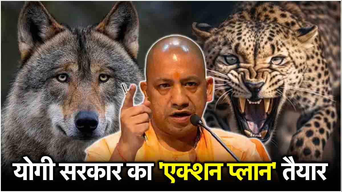 भेड़िए-तेंदुए के हमले में क्या अंतर? सीएम योगी ने सुनाए 5 फरमान; जानें कैसे होगा खात्मा?