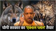 CM Yogi instructions for Wolf Leopard Attack