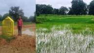 Chhattisgarh Tribal Farmer Rampyare