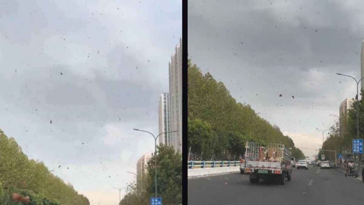 Chongqing Underwear Crisis