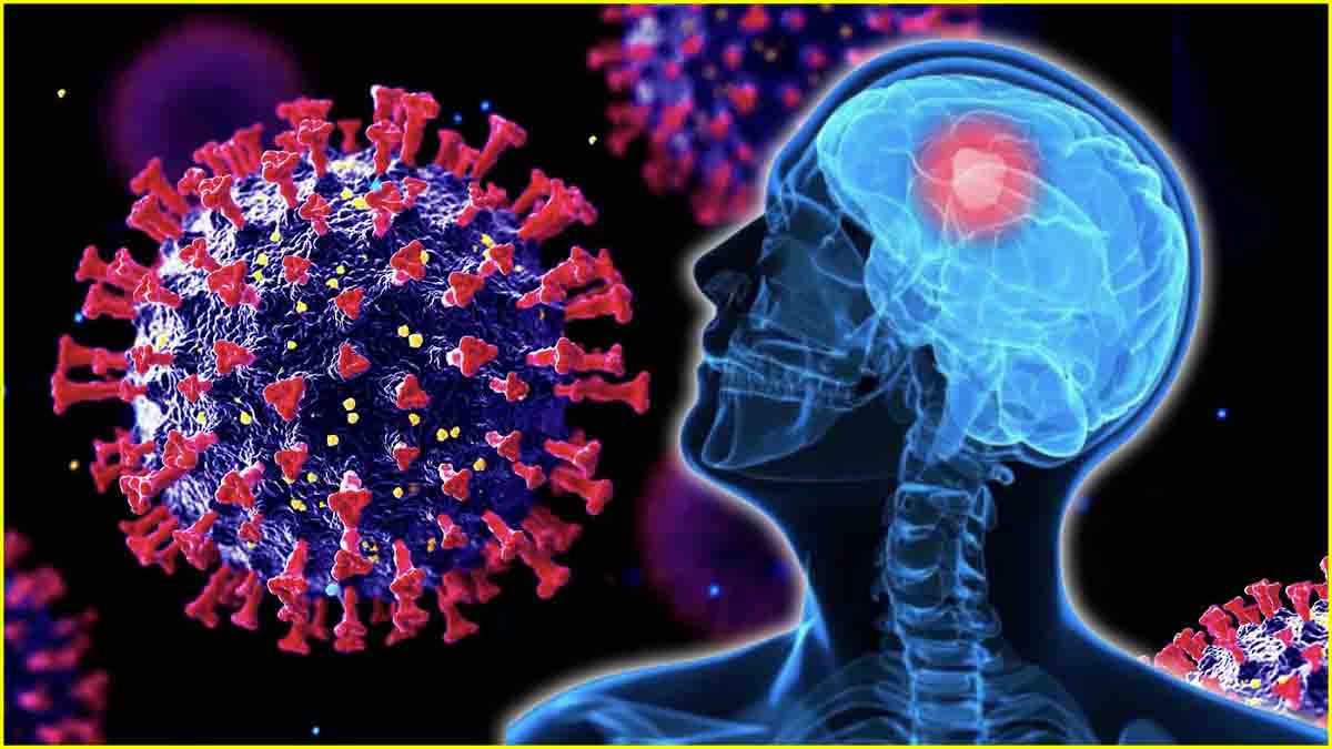 Deadly Virus For Brain