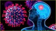 Deadly Virus For Brain