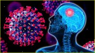 Deadly Virus For Brain