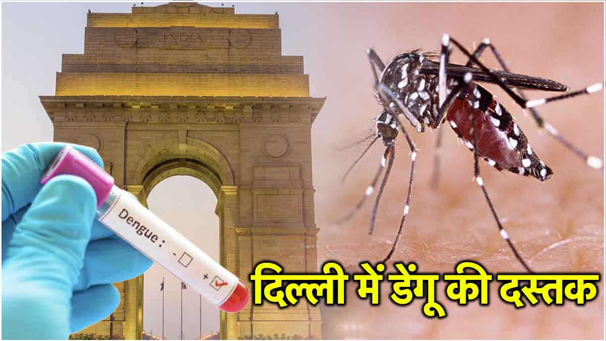 Delhi Dengue Case