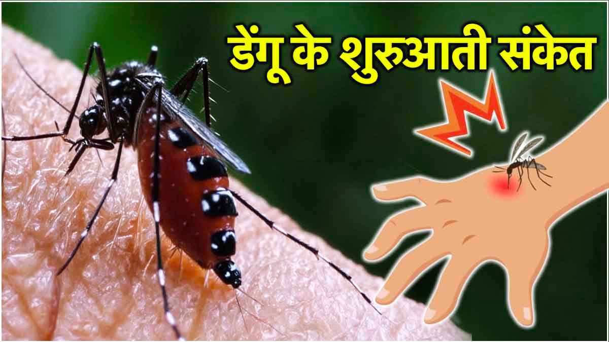 डेंगू कितना खतरनाक? पहचानें बीमारी के शुरआती लक्षण और ऐसे करें बचाव
