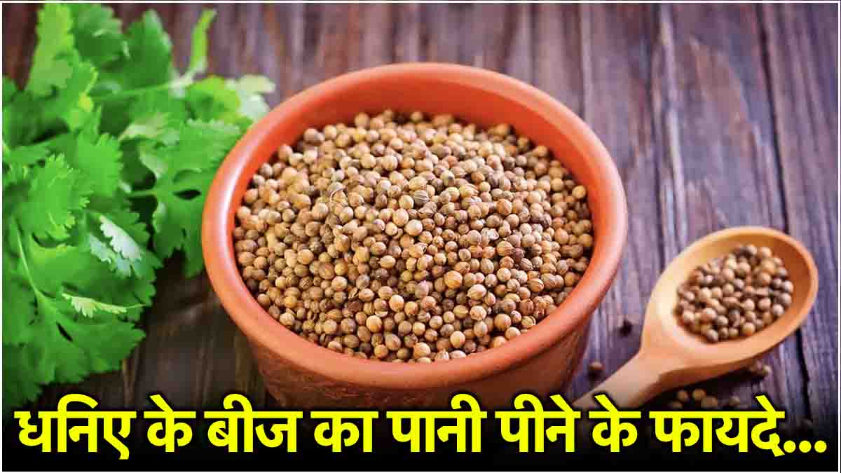 coriander seeds water