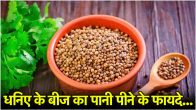 coriander seeds water