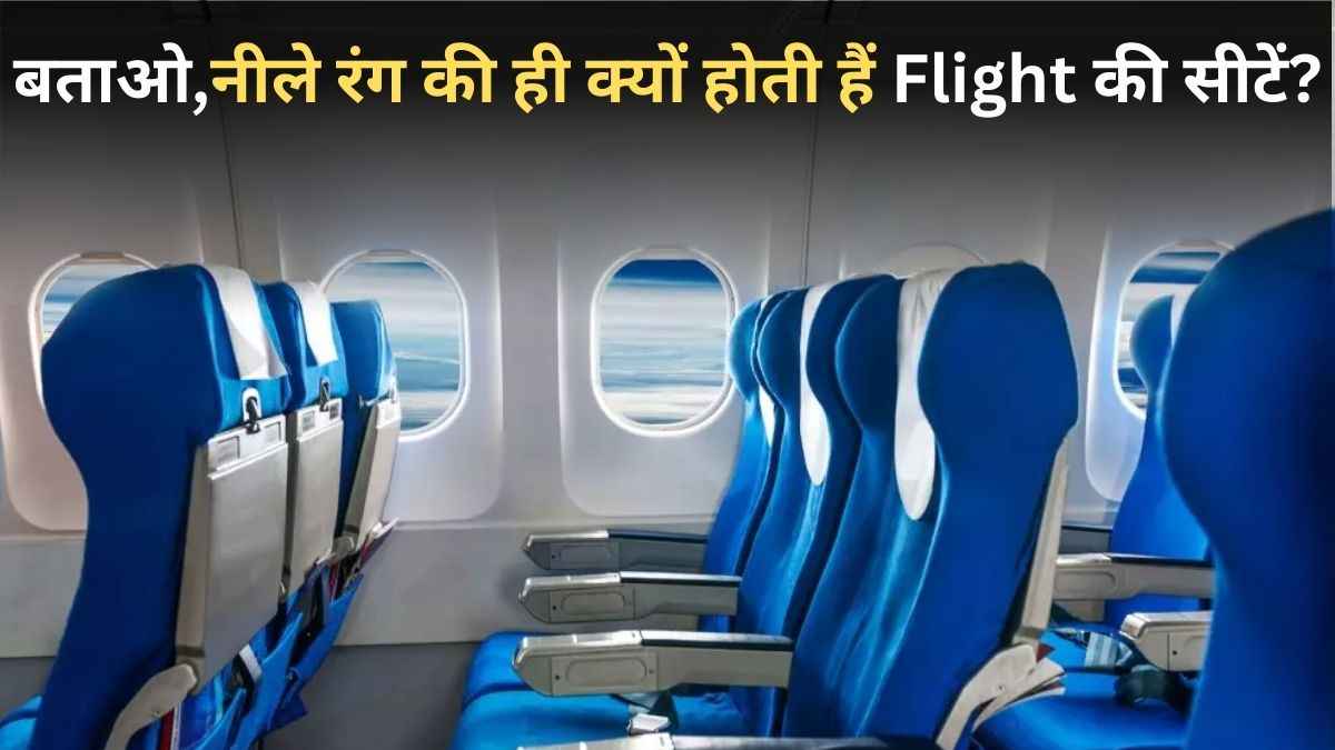 Fight Seat