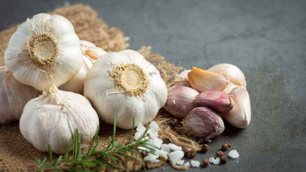 GARLIC