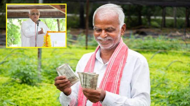 Gujarat Krishi Vaniki Yojana Gujarat Krishi Vaniki Yojana