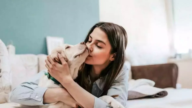 Husband wife Physical Relations with Dog