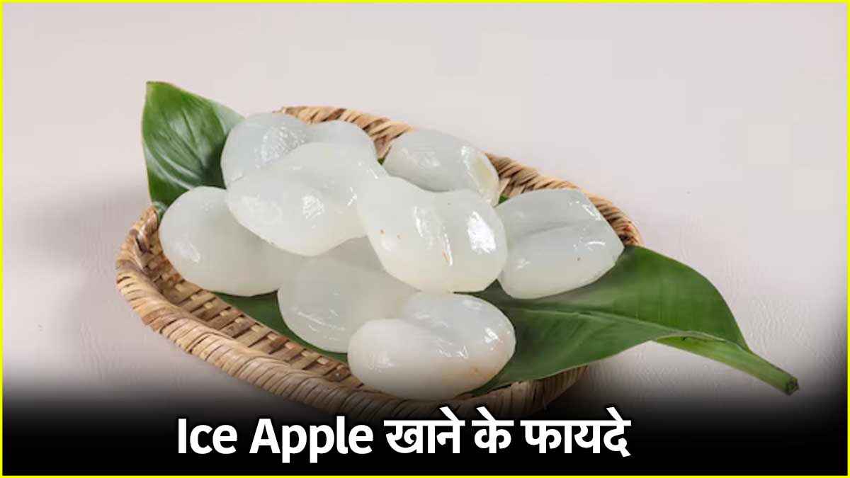 Ice Apple क्या और कैसे फायदेमंद? स्वाद में नारियल जैसा दिखने में लीची