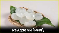 Ice Apple Benefits