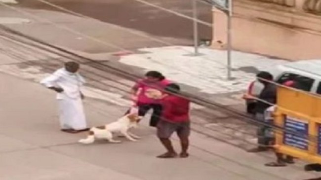 Karnataka Pet Dog Video Karnataka Pet Dog Video
