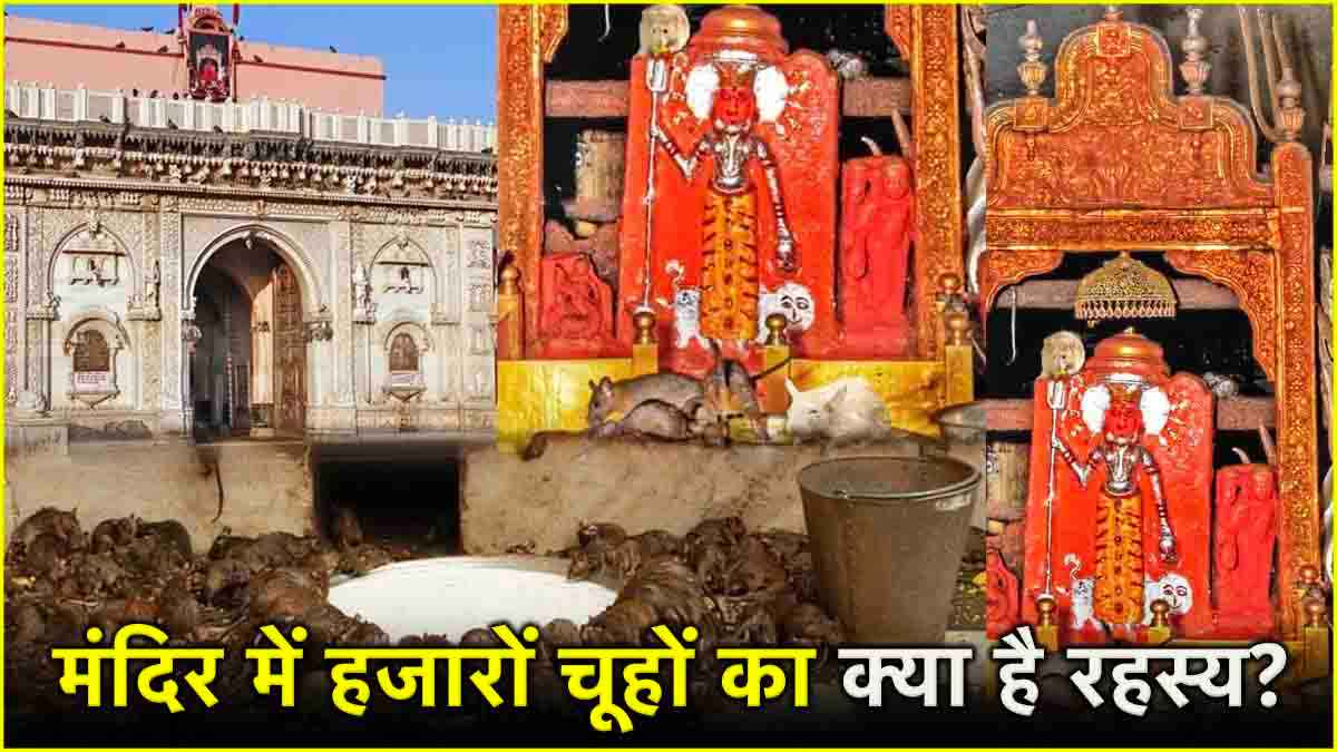 Karni Mata Mandir: देश का एक ऐसा मंदिर जहां पूजे जाते हैं चूहे, जूठा प्रसाद है भक्तों के लिए वरदान!