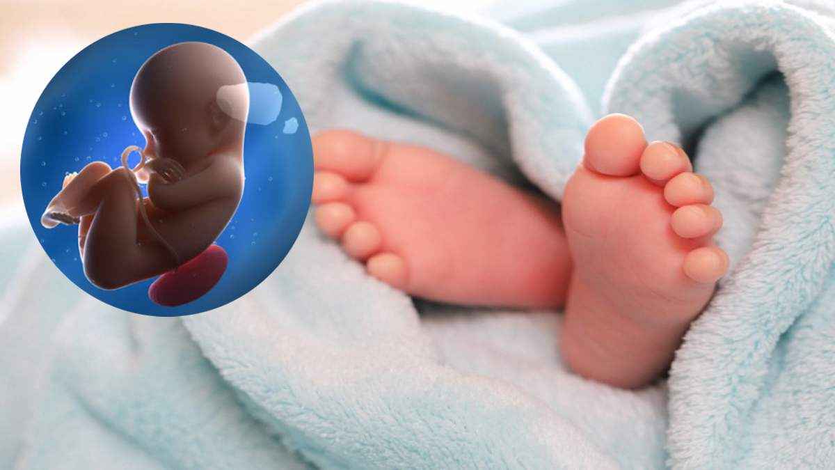 MP Doctor Found a Child in New Born Baby