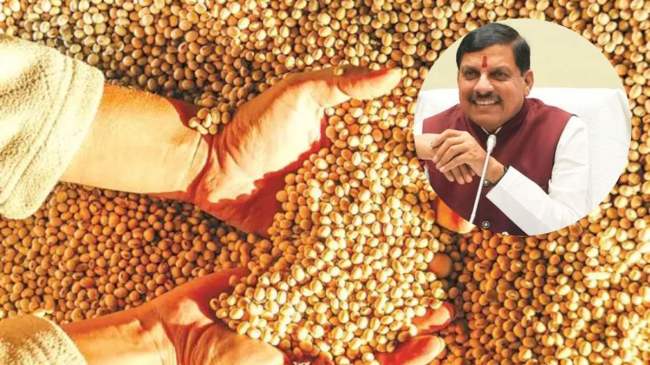 Madhya Pradesh Wins 'Soybean State' Crown