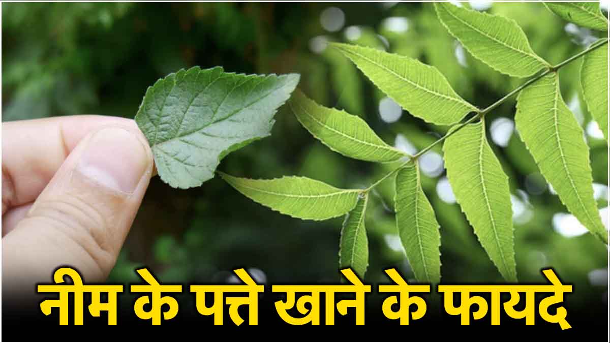 Neem Leaf Benefits