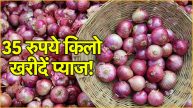 onion Price In delhi ncr