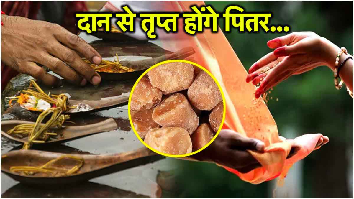 Pitru Paksha में गुड़ समेत इन 3 चीजों के दान से पूर्वजों को करें खुश, वंश-धन में होगी वृद्धि!