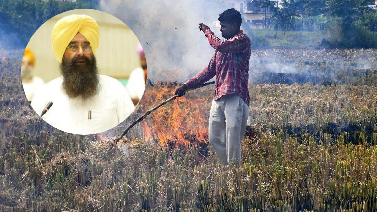 Punjab Cabinet Minister Big Statement On Stubble Management