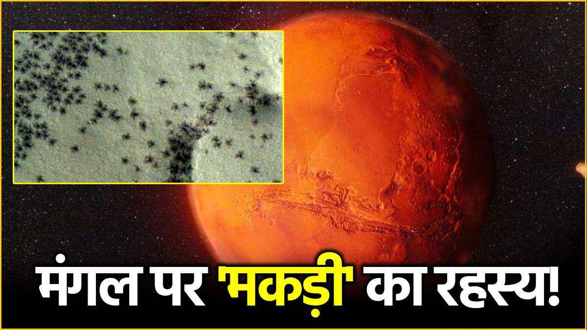 मंगल ग्रह पर सचमुच मिली थी मकड़ी? 20 साल बाद सुलझी मिस्ट्री; नासा ने किया खुलासा