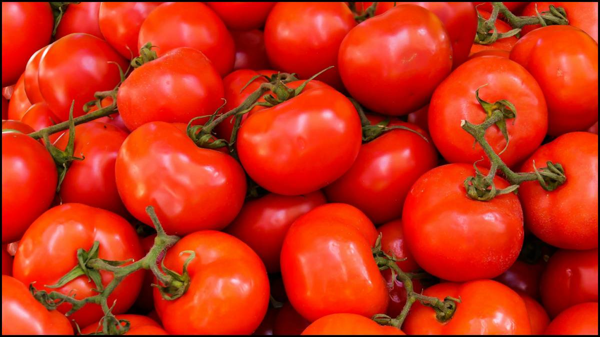 Tomatoes