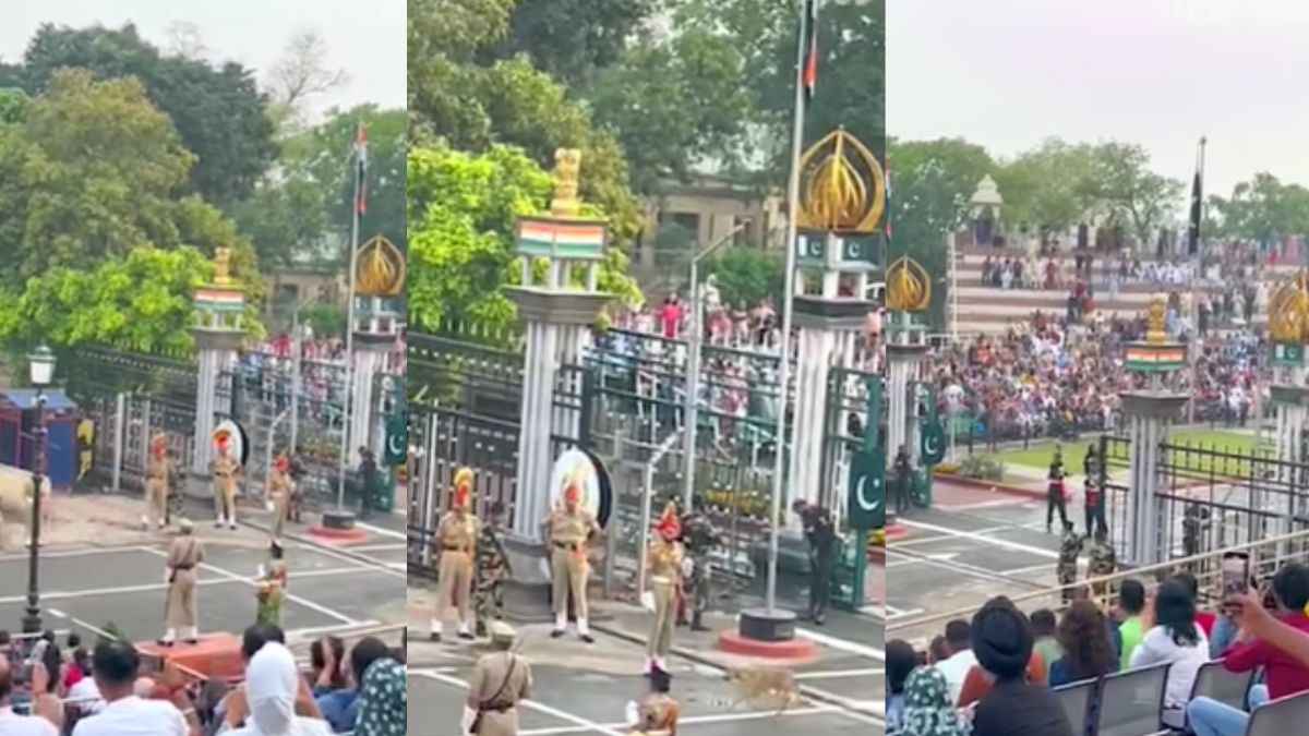 न वीजा न पासपोर्ट, वाघा बॉर्डर पार कर भारत आ गया पाकिस्तानी 'घुसपैठिया'; देखिए Video