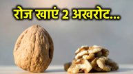 Walnut Benefits