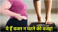 Are You Struggling to lose weight Here are Five Reasons