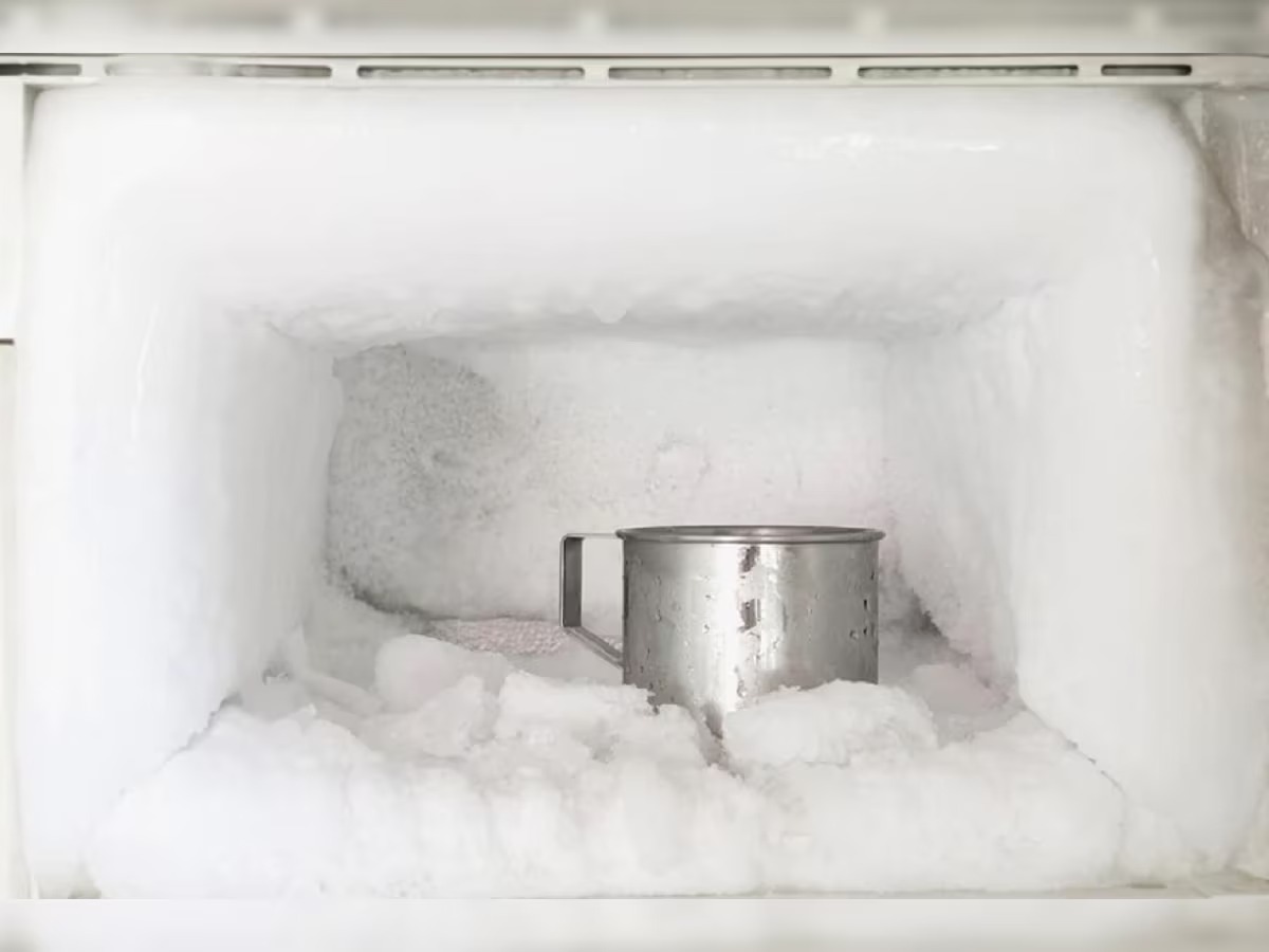 Fridge Defrost Button Benefits