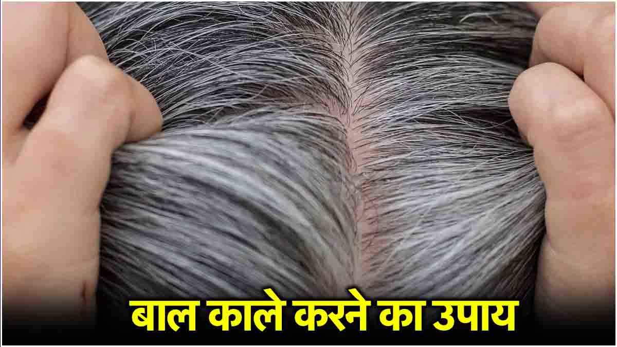 White Hair Home Remedy: सफेद बालों को मिनटों में करें काला, अपनाएं ये घरेलू नुस्खा
